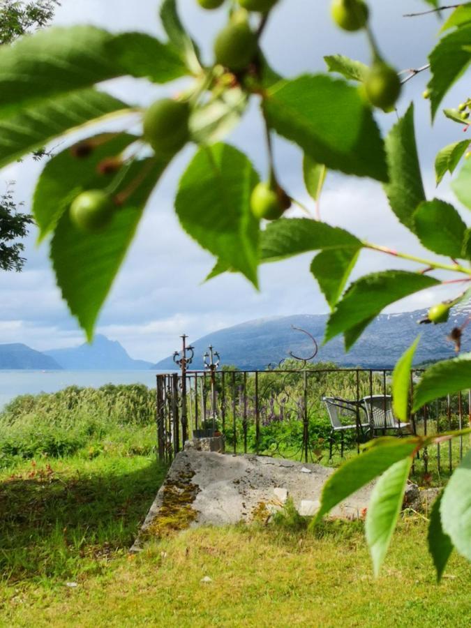 Aline'S Stue, B&B Utskarpen Fuglstad Buitenkant foto